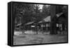 Exterior View of a Camp Curry Bungalow - Yosemite National Park, CA-Lantern Press-Framed Stretched Canvas