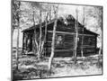 Wood Mount