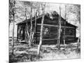 Wood Mount