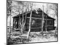Wood Mount