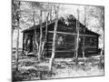 Wood Mount