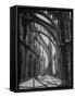 Exterior View of Amiens Cathedral-Nat Farbman-Framed Stretched Canvas