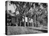 Exterior View of Charles Eames House, Showing How it Nudges into a Hillside-Peter Stackpole-Stretched Canvas