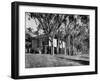 Exterior View of Charles Eames House, Showing How it Nudges into a Hillside-Peter Stackpole-Framed Photographic Print