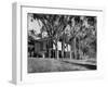 Exterior View of Charles Eames House, Showing How it Nudges into a Hillside-Peter Stackpole-Framed Photographic Print
