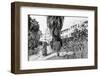 Exterior View of the Beverly Hills Hotel-null-Framed Photographic Print