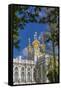 Exterior View of the Catherine Palace, Tsarskoe Selo, St. Petersburg, Russia, Europe-Michael Nolan-Framed Stretched Canvas