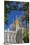 Exterior View of the Catherine Palace, Tsarskoe Selo, St. Petersburg, Russia, Europe-Michael Nolan-Mounted Premium Photographic Print