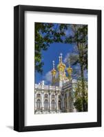 Exterior View of the Catherine Palace, Tsarskoe Selo, St. Petersburg, Russia, Europe-Michael Nolan-Framed Photographic Print