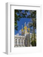 Exterior View of the Catherine Palace, Tsarskoe Selo, St. Petersburg, Russia, Europe-Michael Nolan-Framed Photographic Print