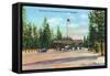 Exterior View of the Front of Mammoth Hotel, Yellowstone National Park, Wyoming-Lantern Press-Framed Stretched Canvas