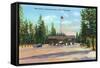 Exterior View of the Front of Mammoth Hotel, Yellowstone National Park, Wyoming-Lantern Press-Framed Stretched Canvas