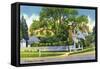 Exterior View of the St. George Tucker House, Williamsburg, Virginia-Lantern Press-Framed Stretched Canvas