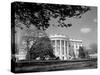 Exterior View of the White House-null-Stretched Canvas