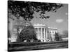 Exterior View of the White House-null-Stretched Canvas