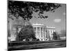 Exterior View of the White House-null-Mounted Photographic Print