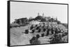 Exterior View of William R. Hearst's Castle with Landscape-null-Framed Stretched Canvas