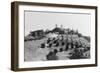 Exterior View of William R. Hearst's Castle with Landscape-null-Framed Photographic Print