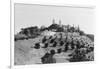 Exterior View of William R. Hearst's Castle with Landscape-null-Framed Photographic Print