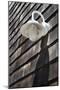 Exterior Wall Light, Fire Island, New York-Julien McRoberts-Mounted Premium Photographic Print