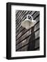 Exterior Wall Light, Fire Island, New York-Julien McRoberts-Framed Photographic Print