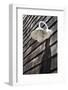 Exterior Wall Light, Fire Island, New York-Julien McRoberts-Framed Photographic Print