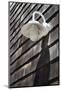 Exterior Wall Light, Fire Island, New York-Julien McRoberts-Mounted Photographic Print