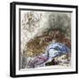 Extermination of the Jewish Victims of the Popular Belief that He Transmitted the Plague-null-Framed Giclee Print