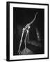 Extinct for 700 Years, Reconstructed Skeleton of the Giant Moa of New Zealand Discovered in Swamp-Yale Joel-Framed Photographic Print