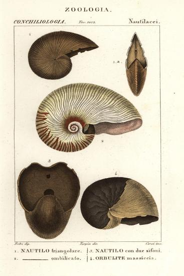 Photo, , large
