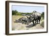 Extinct Species of Rhinoceros, Titanothere, Ancient South Dakota-null-Framed Giclee Print