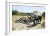 Extinct Species of Rhinoceros, Titanothere, Ancient South Dakota-null-Framed Giclee Print