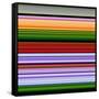 Extract 6-Art Deco Designs-Framed Stretched Canvas