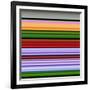 Extract 6-Art Deco Designs-Framed Giclee Print