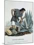 Extraction of Pulque-null-Mounted Giclee Print