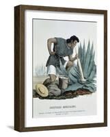 Extraction of Pulque-null-Framed Giclee Print