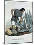 Extraction of Pulque-null-Mounted Giclee Print