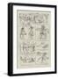 Extracts from a Desert Diary-null-Framed Giclee Print