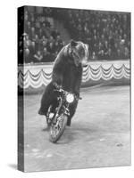 Extraordinarily Skillful Russian Performing Bear Driving a Motorcycle-Carl Mydans-Stretched Canvas