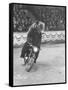 Extraordinarily Skillful Russian Performing Bear Driving a Motorcycle-Carl Mydans-Framed Stretched Canvas