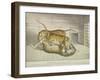 Extraordinary and Fatal Combat, Between a Lion and a Tiger and Tigress,Tower of London, 1830-null-Framed Giclee Print