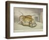 Extraordinary and Fatal Combat, Between a Lion and a Tiger and Tigress,Tower of London, 1830-null-Framed Premium Giclee Print