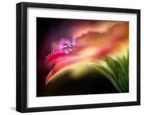 Extreme Dew-Ursula Abresch-Framed Premium Photographic Print