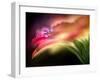 Extreme Dew-Ursula Abresch-Framed Premium Photographic Print