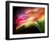 Extreme Dew-Ursula Abresch-Framed Photographic Print