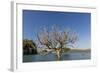 Extreme High Tide Covers Trees in the Hunter River, Kimberley, Western Australia-Michael Nolan-Framed Photographic Print