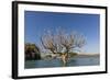 Extreme High Tide Covers Trees in the Hunter River, Kimberley, Western Australia-Michael Nolan-Framed Photographic Print
