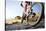 Extreme Mountain Bike Sport Athlete Man Riding Outdoors Lifestyle Trail-warrengoldswain-Stretched Canvas