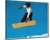 Extreme Sports Snowboarding-null-Stretched Canvas