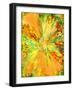 Exuberance-Ruth Palmer-Framed Art Print